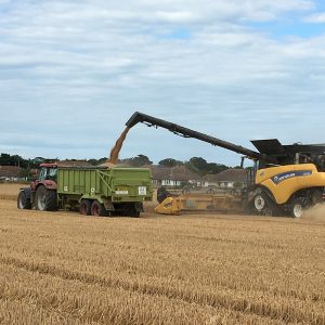 Farming - Quex Park