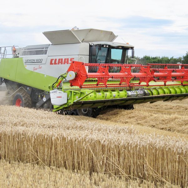 Farming - Quex Park